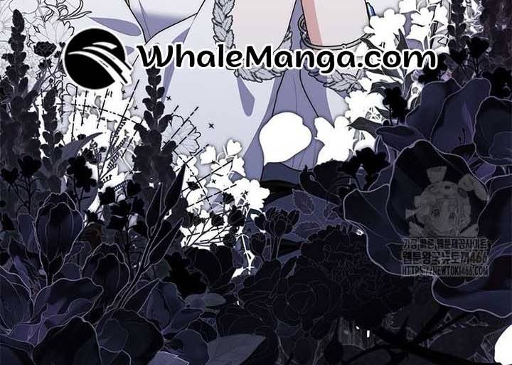 Read A Fortune-Telling Princess  Manga Online