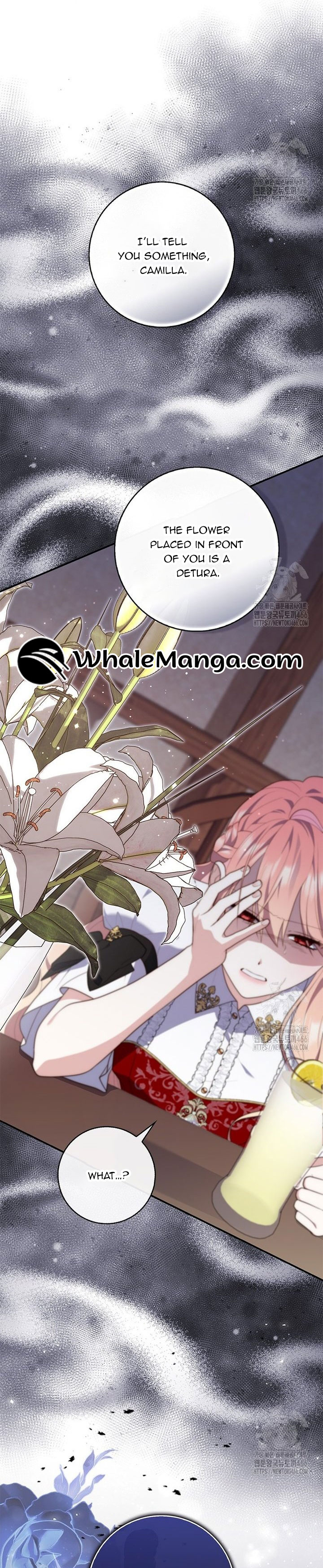 Read A Fortune-Telling Princess  Manga Online