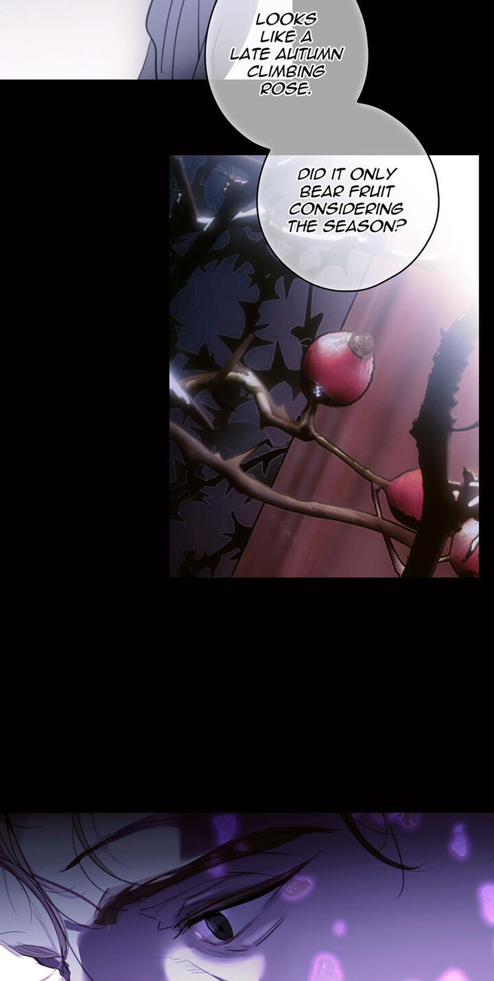 Read A Stepmother's Marchen Manga Online
