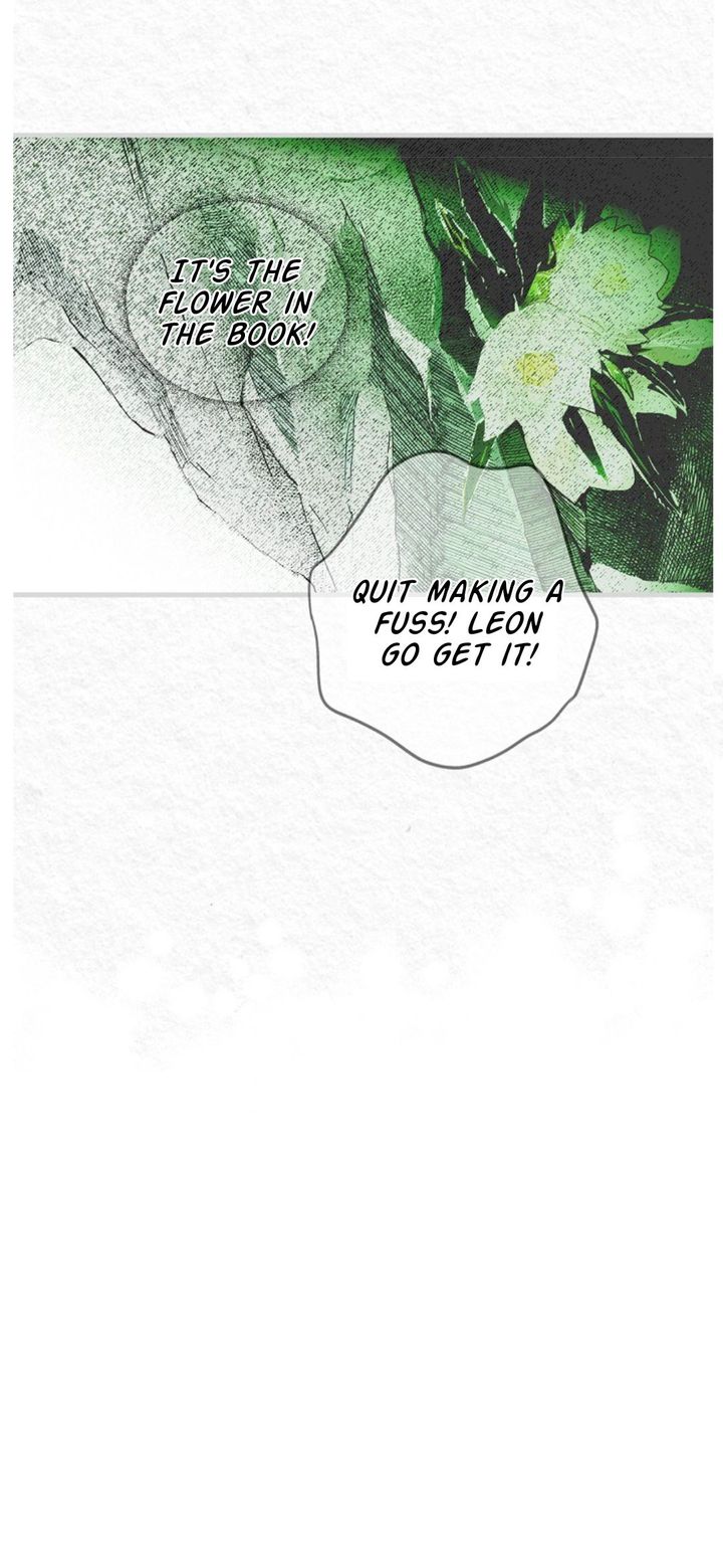 Read A Stepmother's Marchen Manga Online
