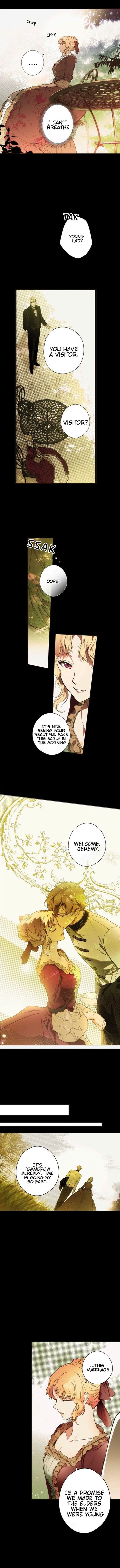 Read A Stepmother's Marchen Manga Online