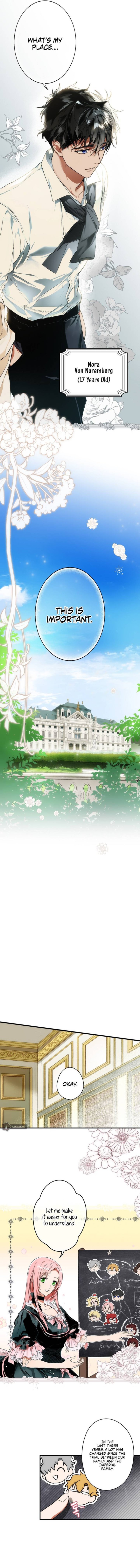 Read A Stepmother's Marchen Manga Online