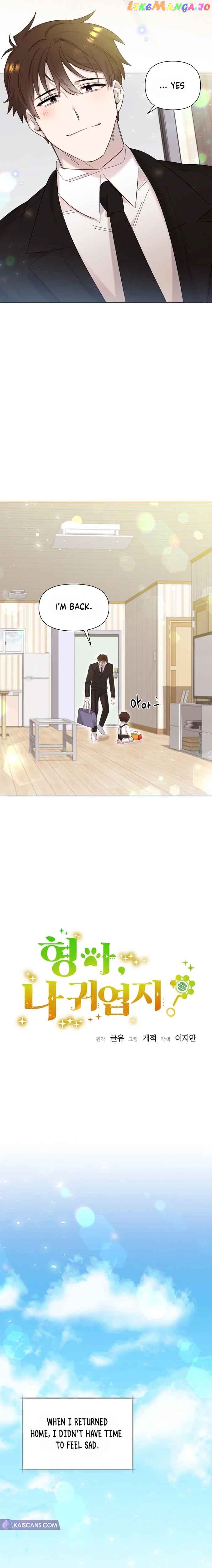 Read Brother, am I cute Manga Online