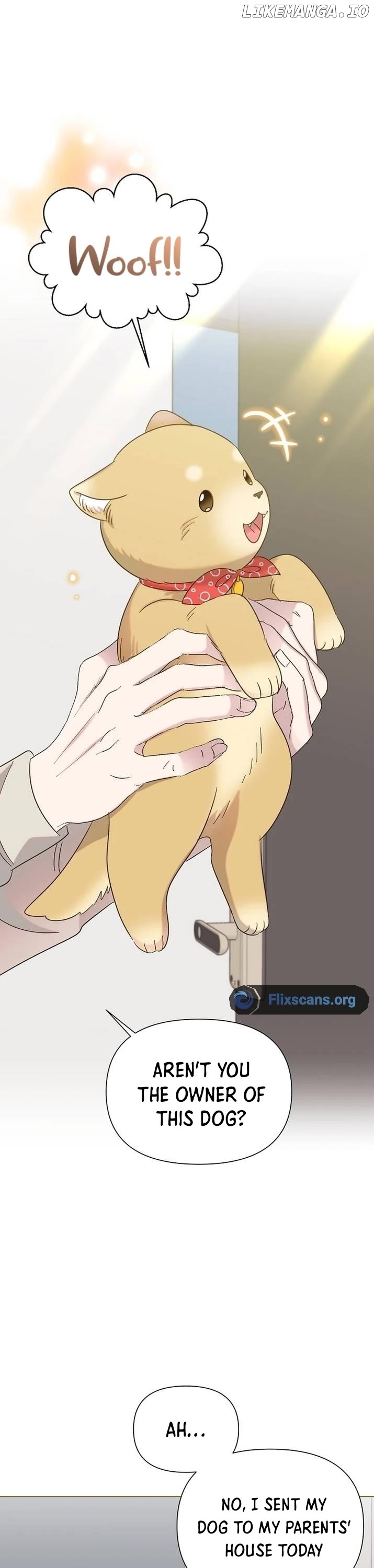 Read Brother, am I cute Manga Online