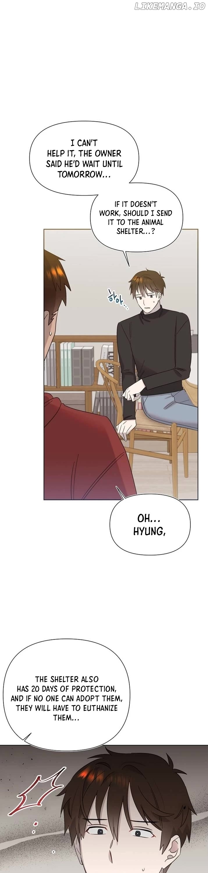 Read Brother, am I cute Manga Online