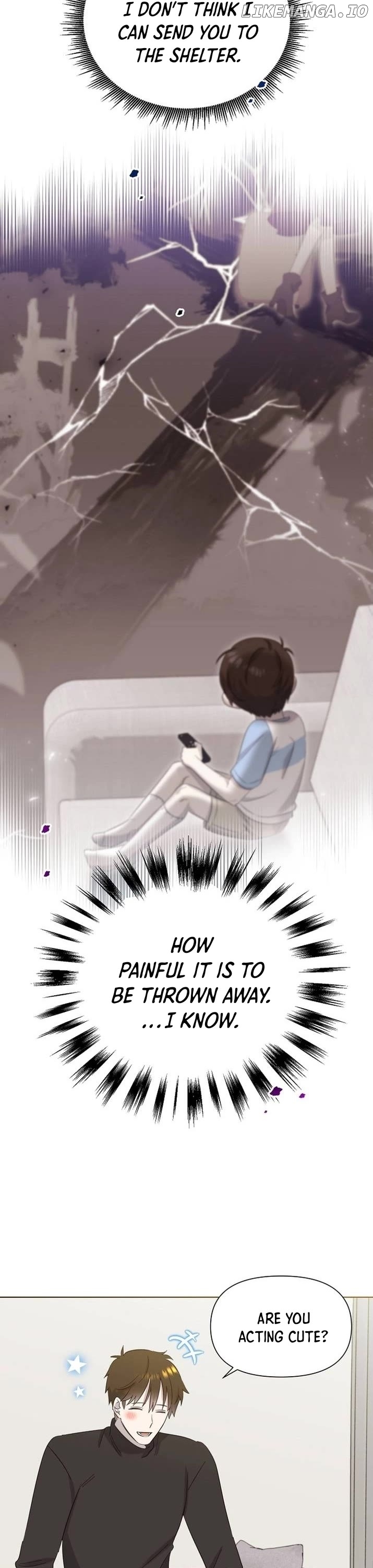 Read Brother, am I cute Manga Online