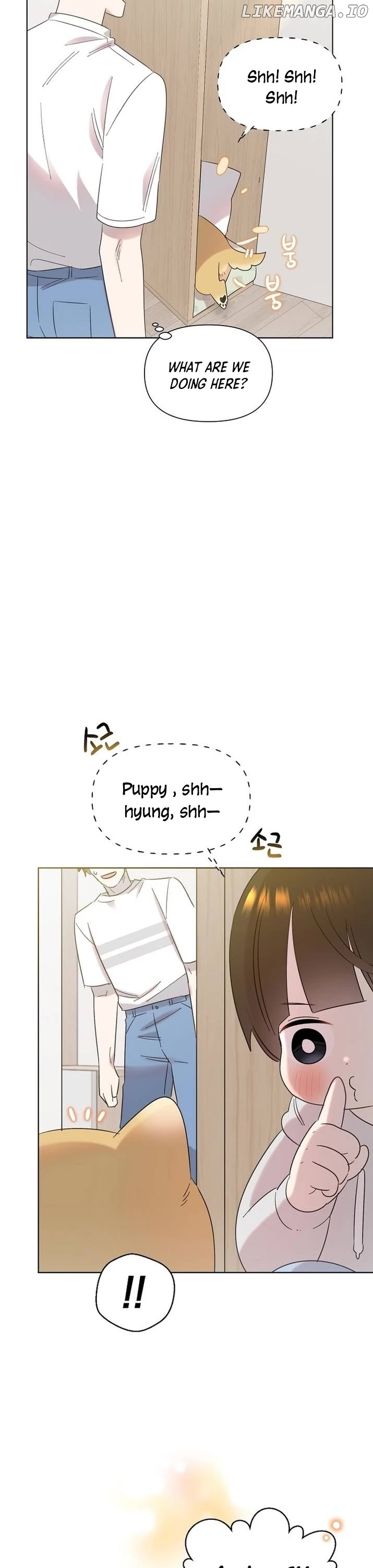 Read Brother, am I cute Manga Online