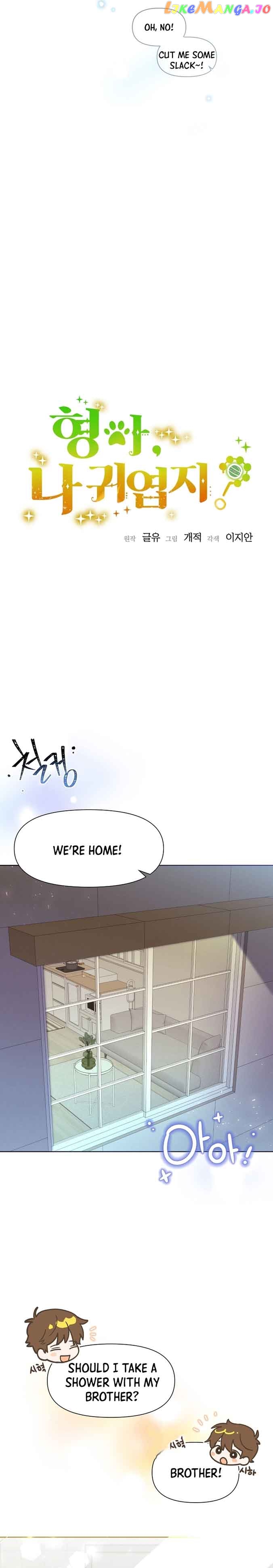 Read Brother, am I cute Manga Online