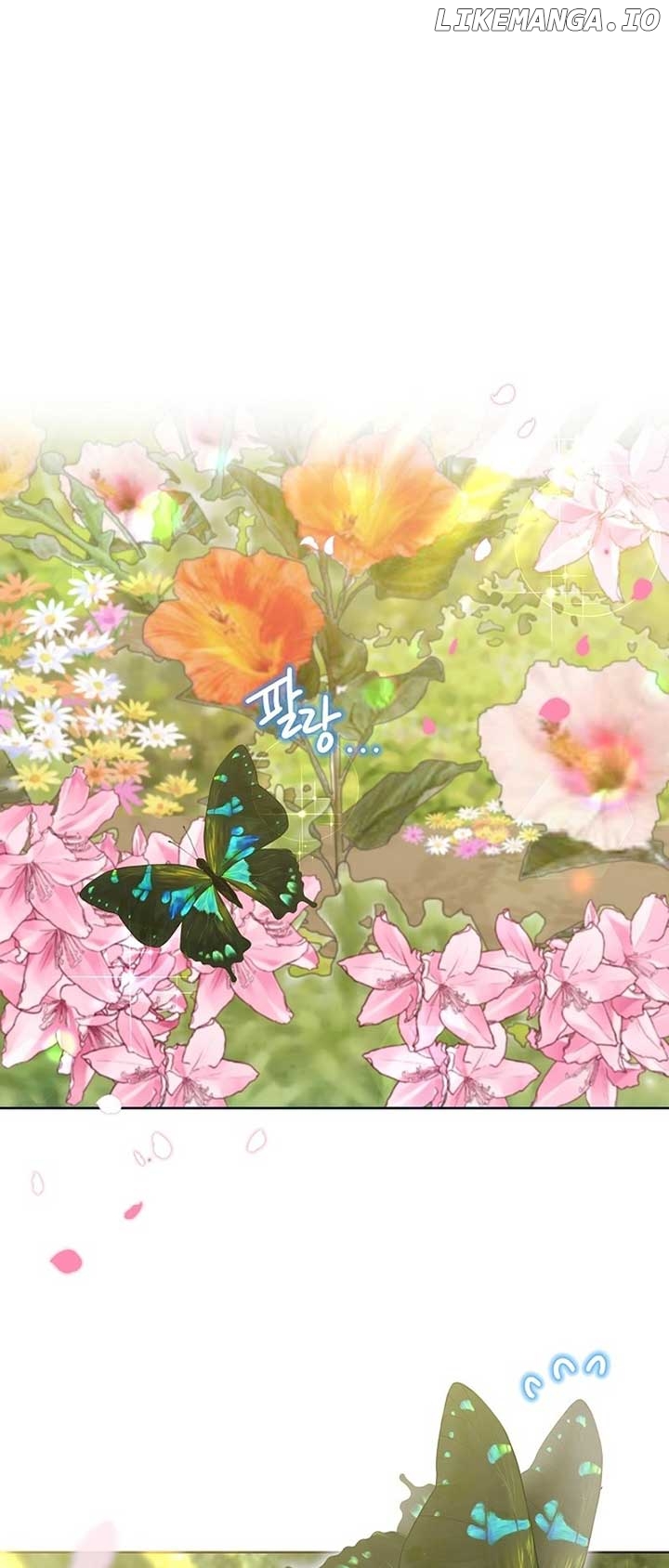 Read Brother, am I cute Manga Online