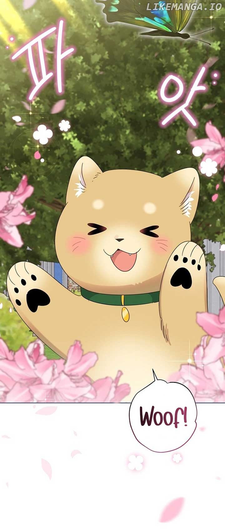 Read Brother, am I cute Manga Online