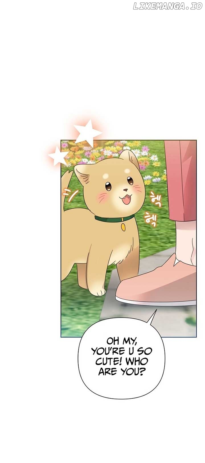 Read Brother, am I cute Manga Online