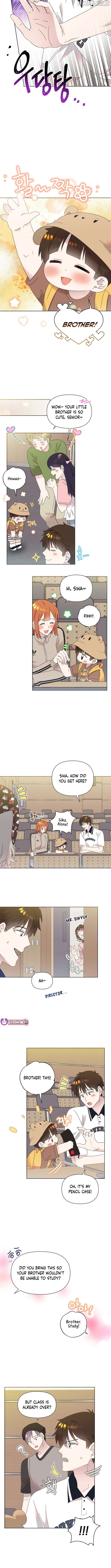 Read Brother, am I cute Manga Online