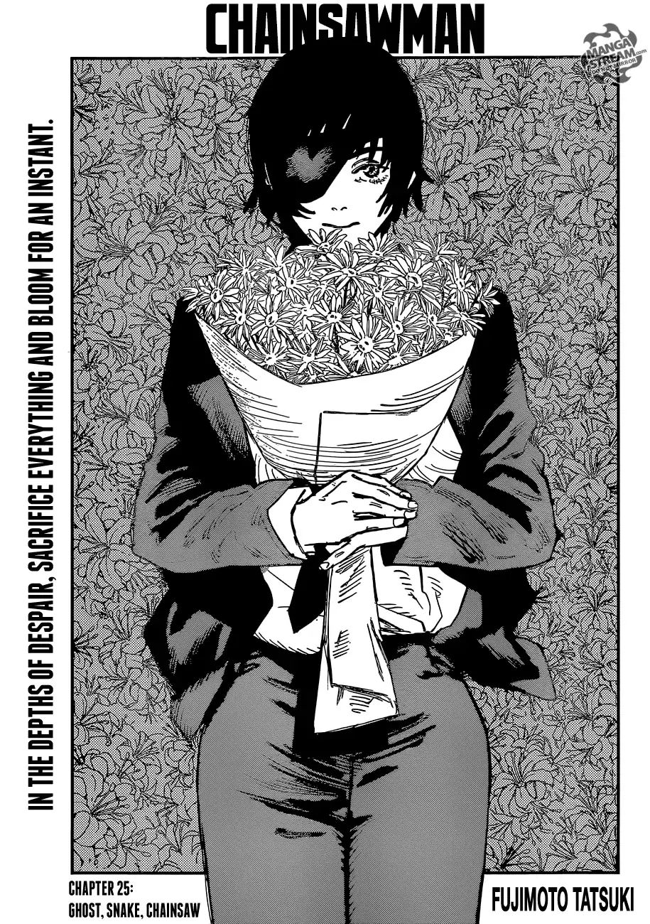 Read Chainsaw Man Manga Online