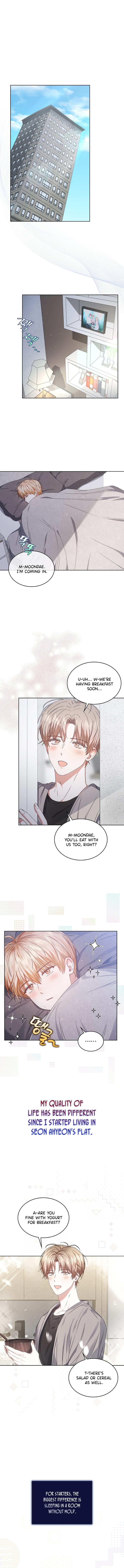 Read Debut or Die! Manga Online