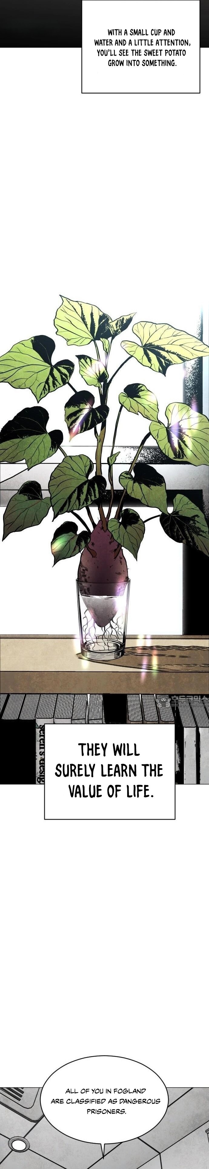 Read Fog Land Manga Online
