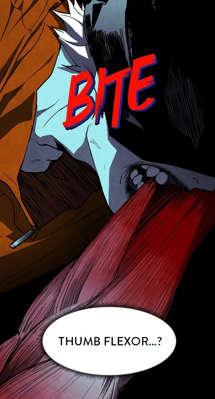 Read Fog Land Manga Online
