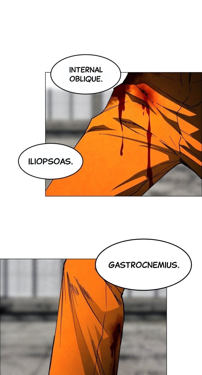Read Fog Land Manga Online