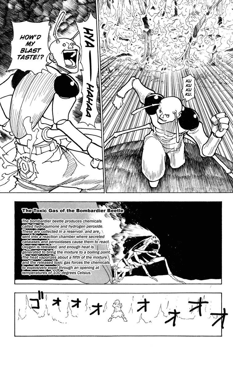 Read Hunter x Hunter (EN) Manga Online