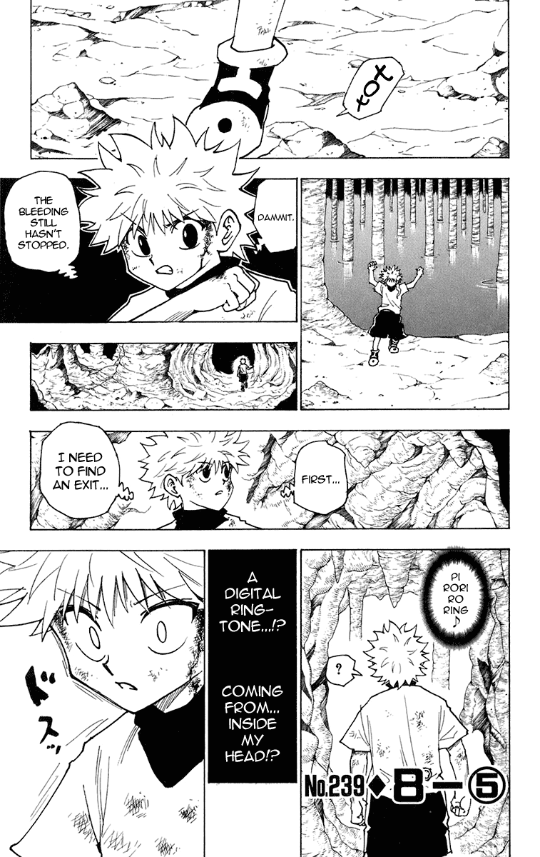 Read Hunter x Hunter (EN) Manga Online