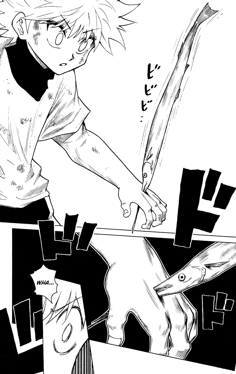 Read Hunter x Hunter (EN) Manga Online