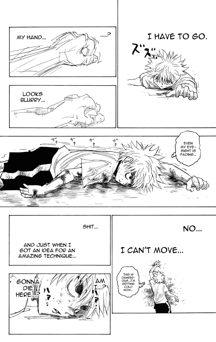 Read Hunter x Hunter (EN) Manga Online