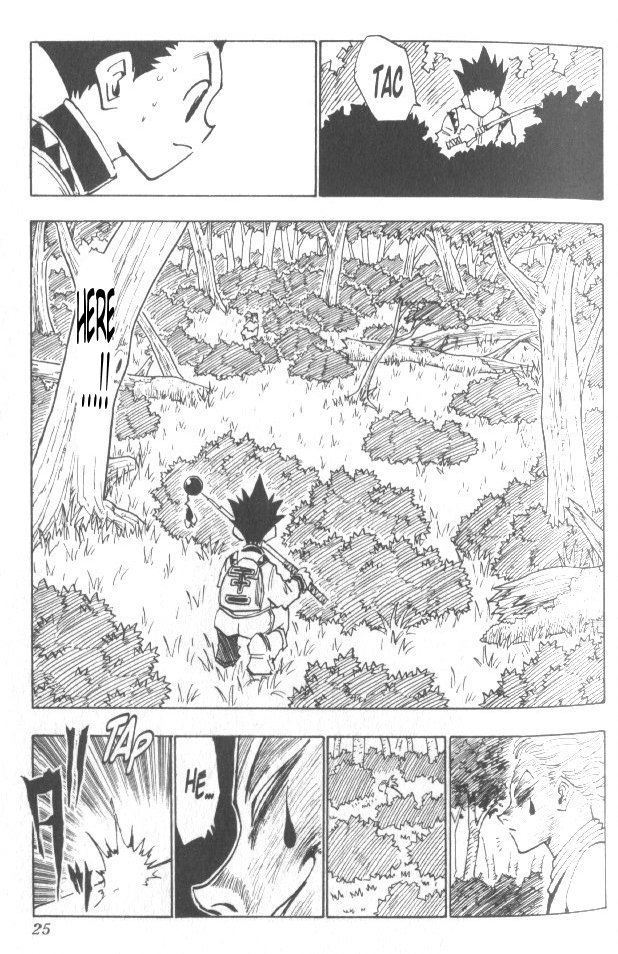 Read Hunter x Hunter (EN) Manga Online