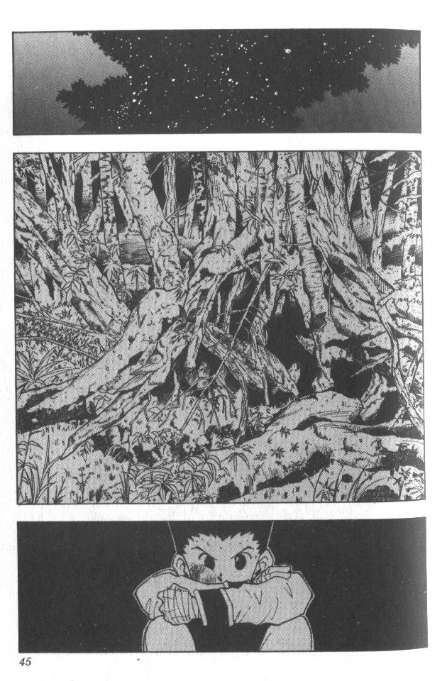 Read Hunter x Hunter (EN) Manga Online