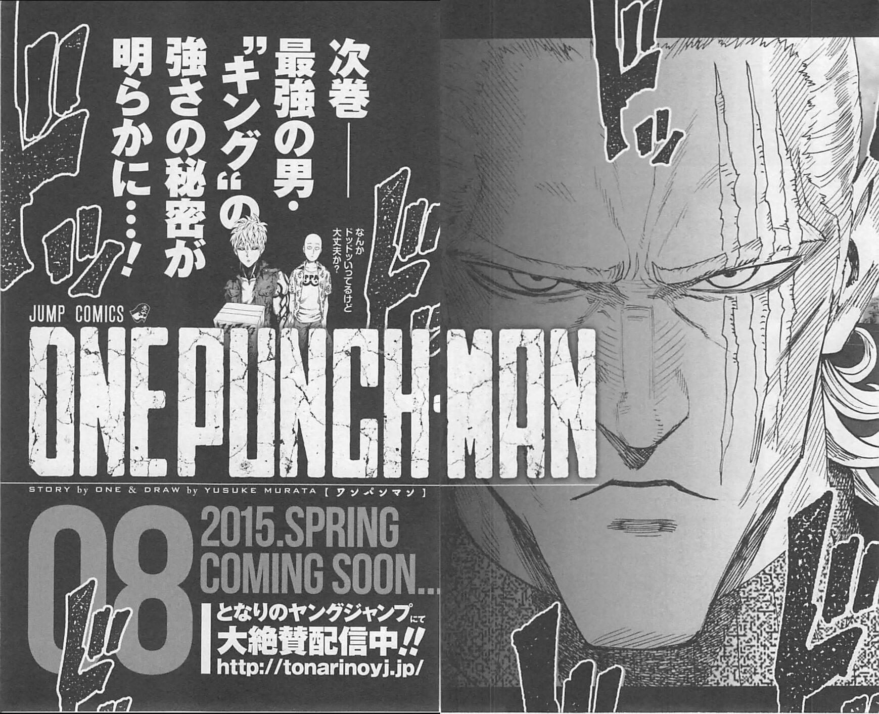 Read Onepunch-Man Manga Online