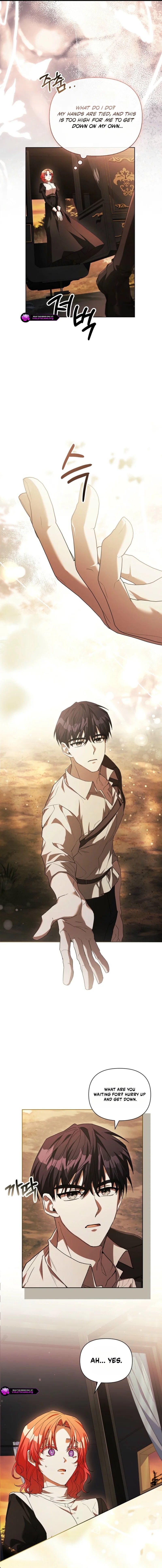 Read Regarding the Perfect Revenge Manga Online