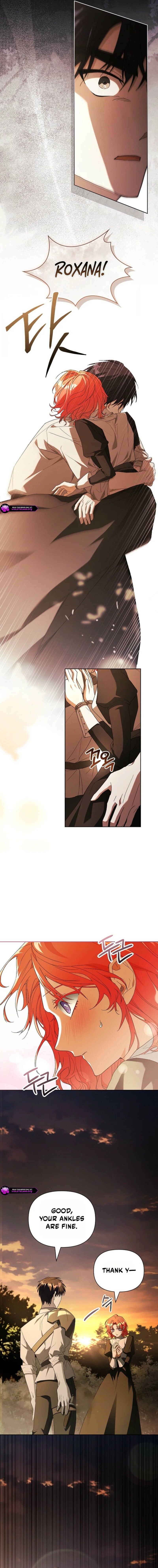 Read Regarding the Perfect Revenge Manga Online