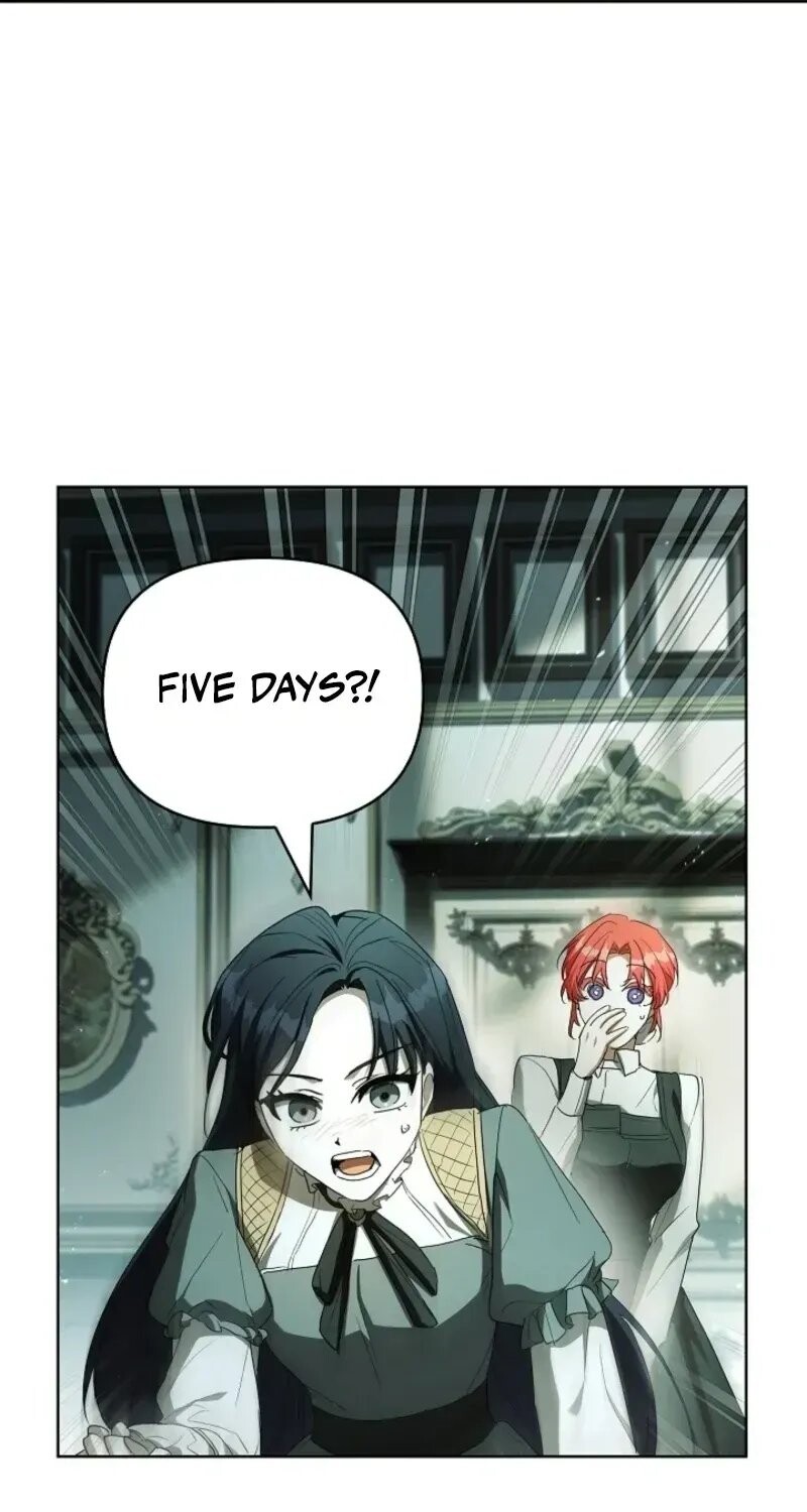 Read Regarding the Perfect Revenge Manga Online