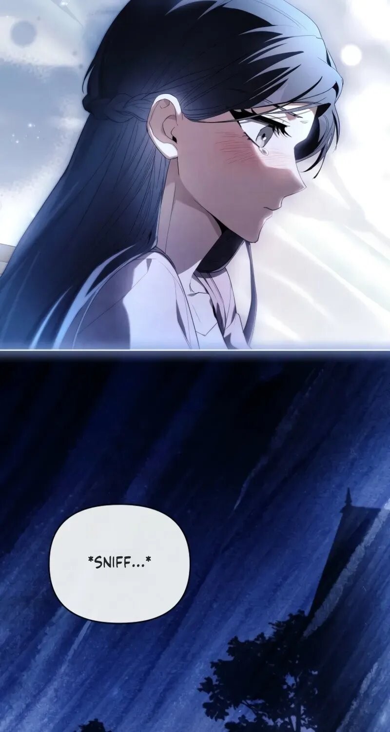Read Regarding the Perfect Revenge Manga Online