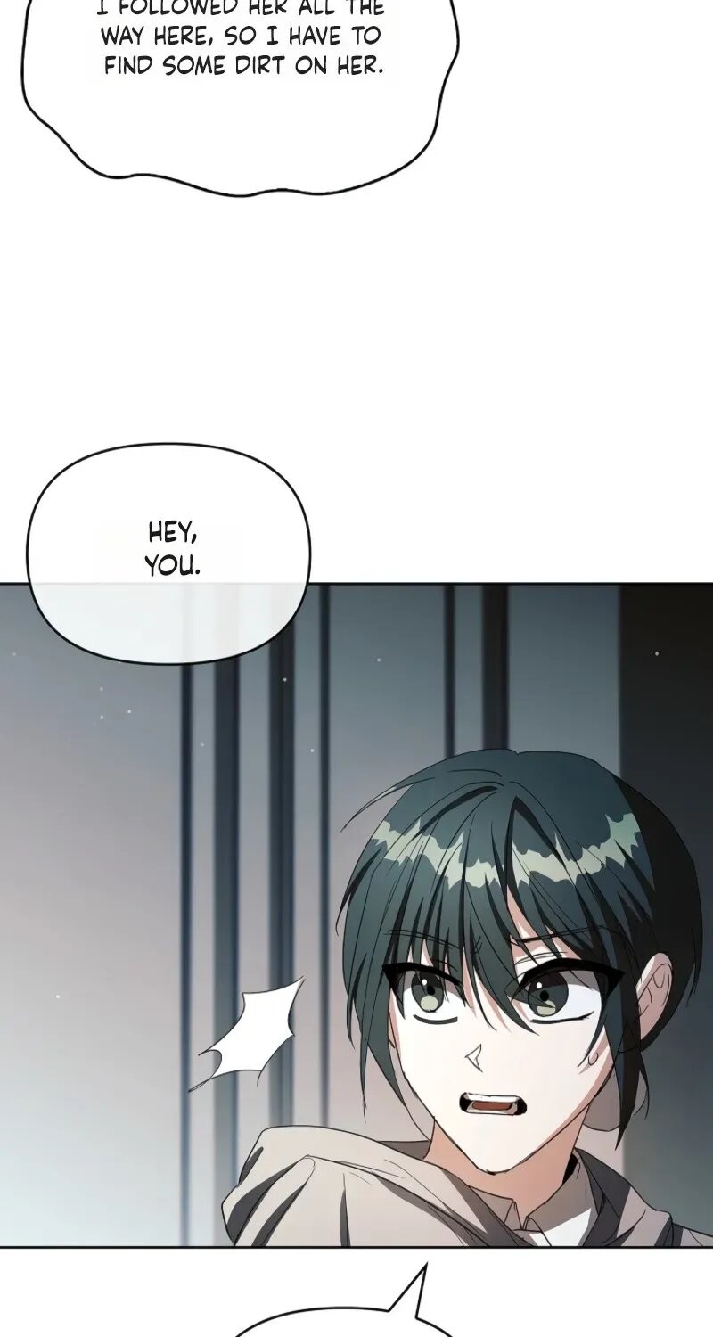 Read Regarding the Perfect Revenge Manga Online