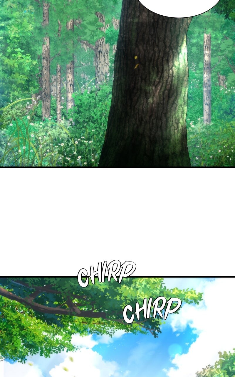 Read Regressor's Tale Of Cultivation Manga Online