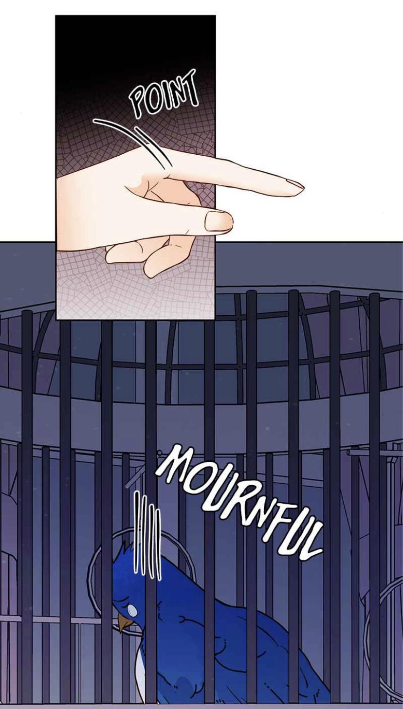Read Remarried Empress  Manga Online