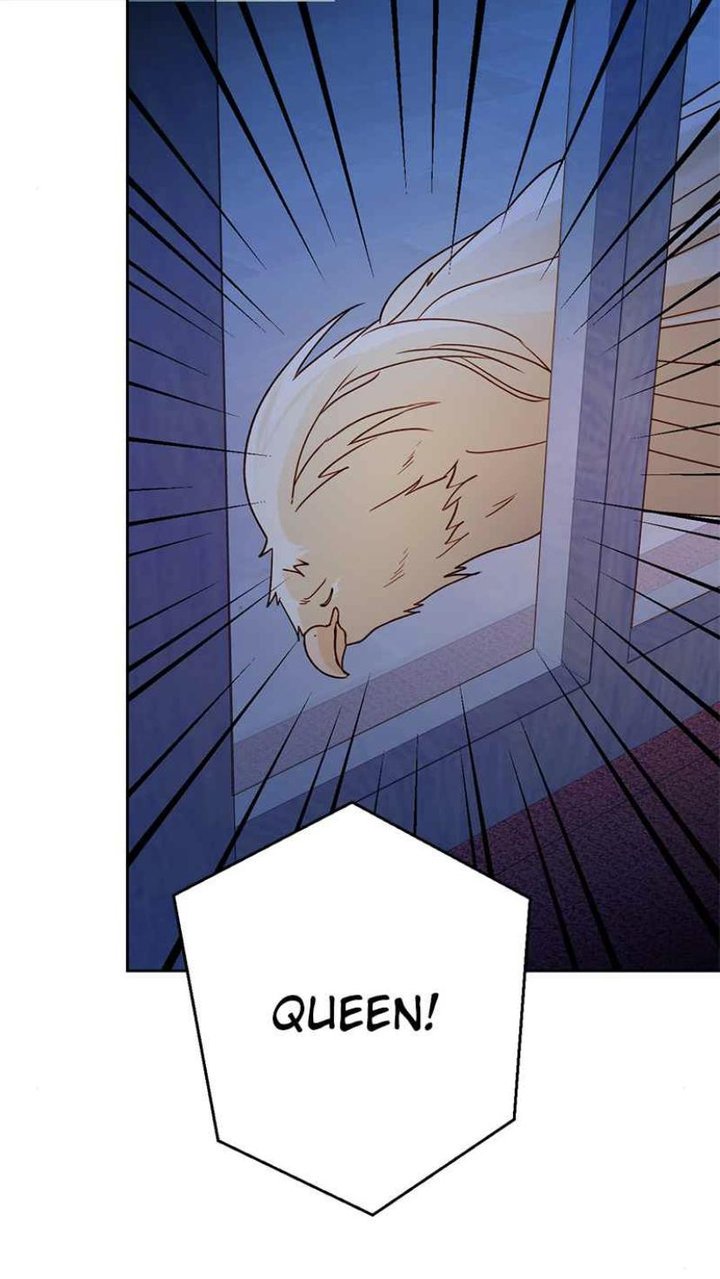 Read Remarried Empress  Manga Online