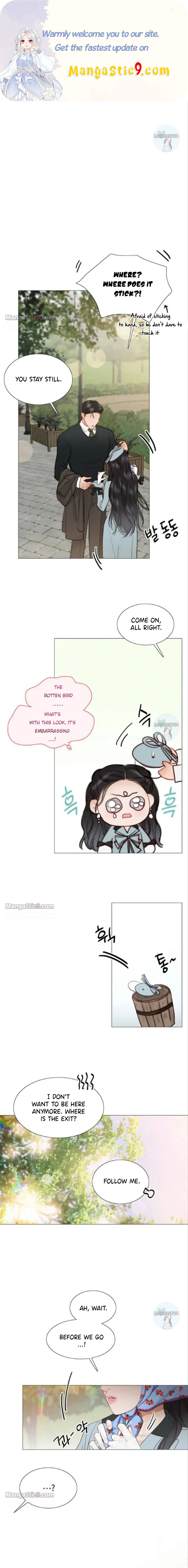 Read Serena Manga Online
