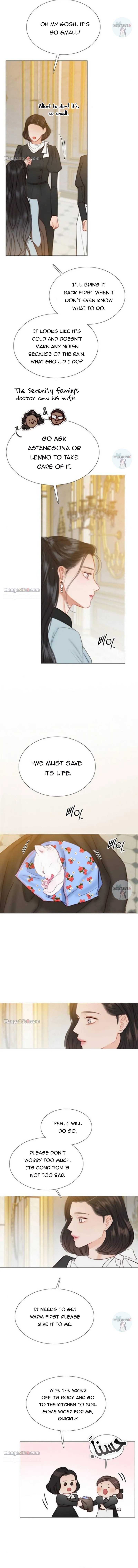 Read Serena Manga Online