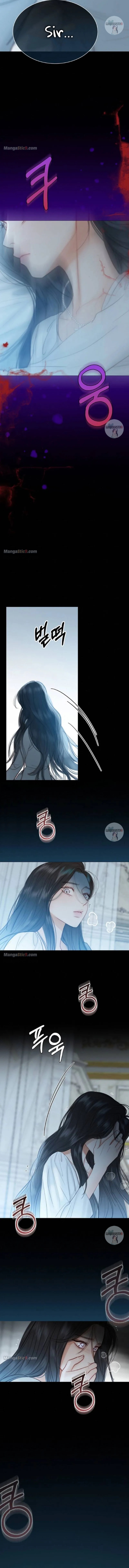 Read Serena Manga Online