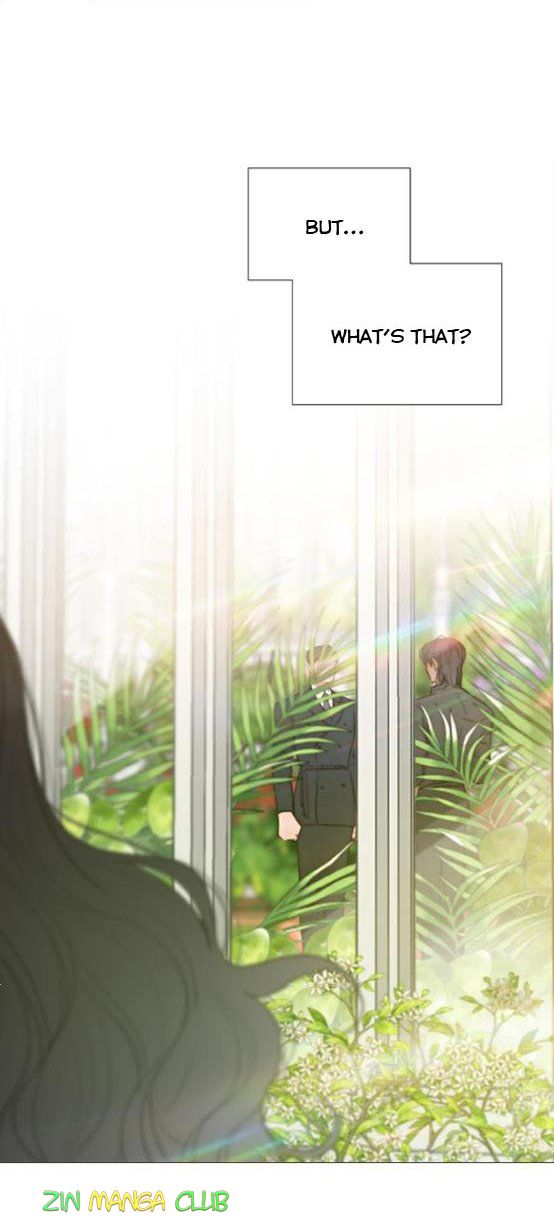 Read Serena Manga Online