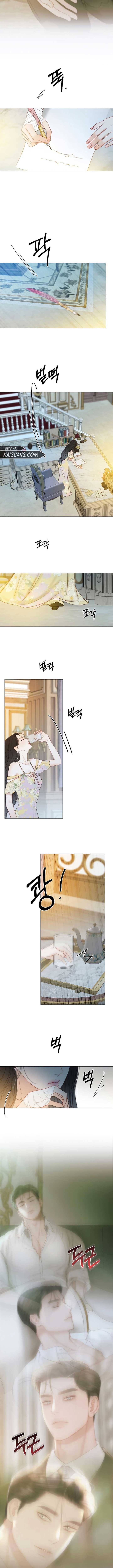 Read Serena Manga Online