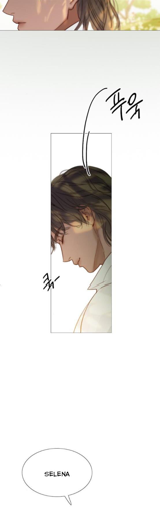 Read Serena Manga Online