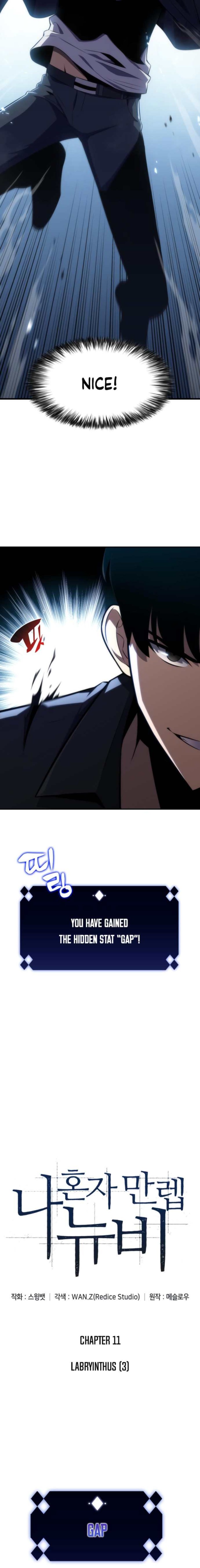 Read Solo Max-Level Newbie Manga Online