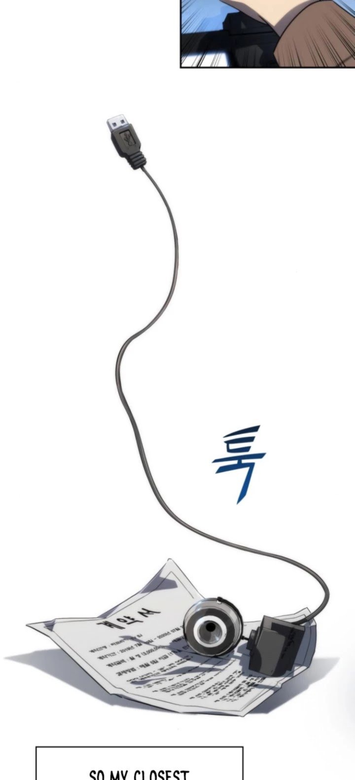 Read Solo Max-Level Newbie Manga Online