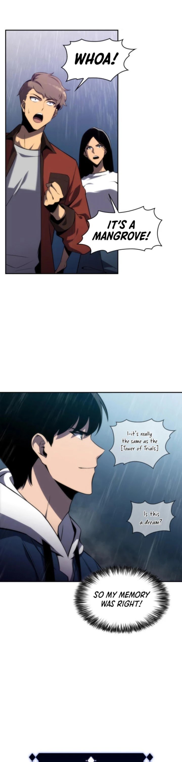 Read Solo Max-Level Newbie Manga Online