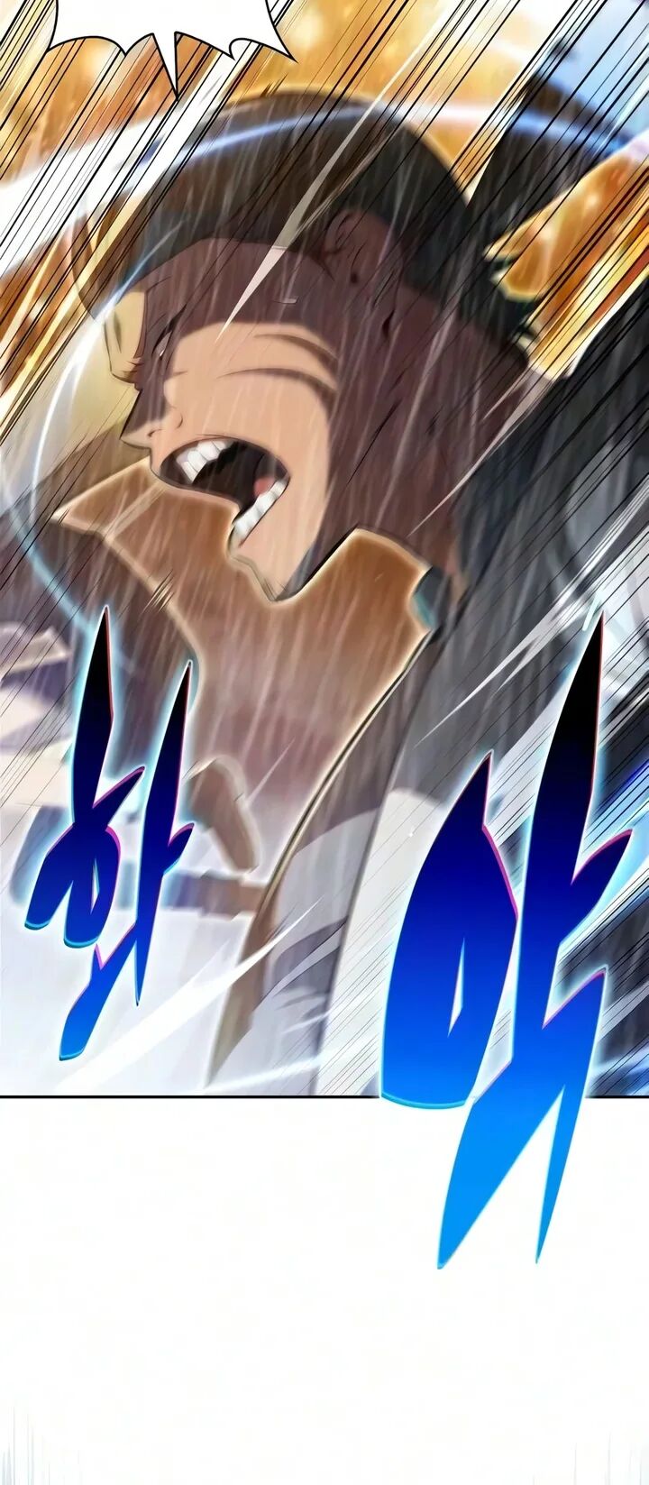 Read Solo Max-Level Newbie Manga Online