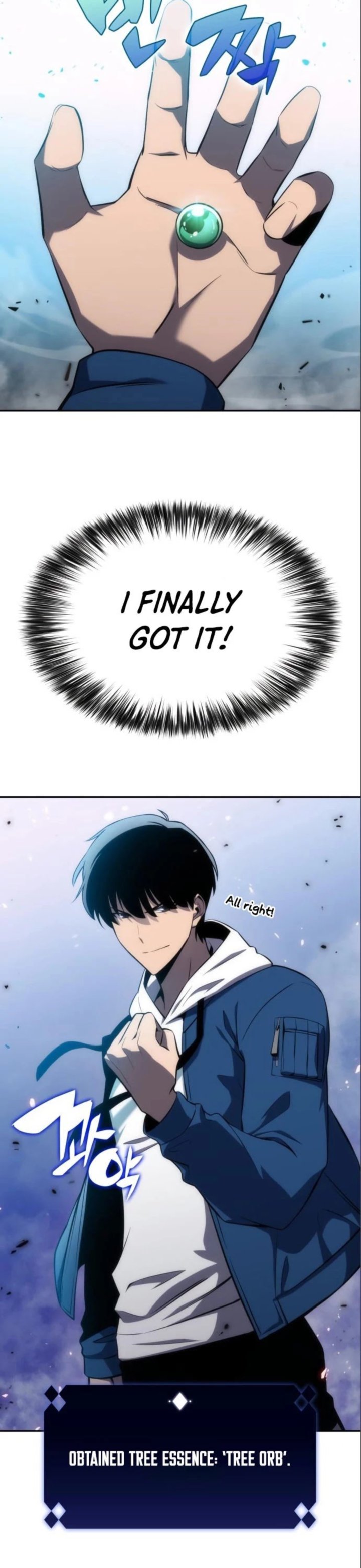Read Solo Max-Level Newbie Manga Online