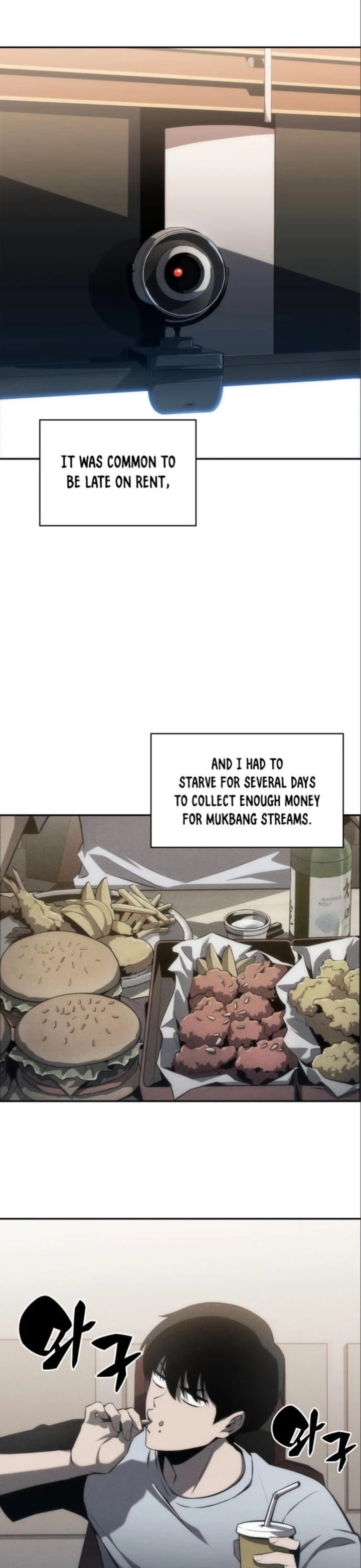 Read Solo Max-Level Newbie Manga Online