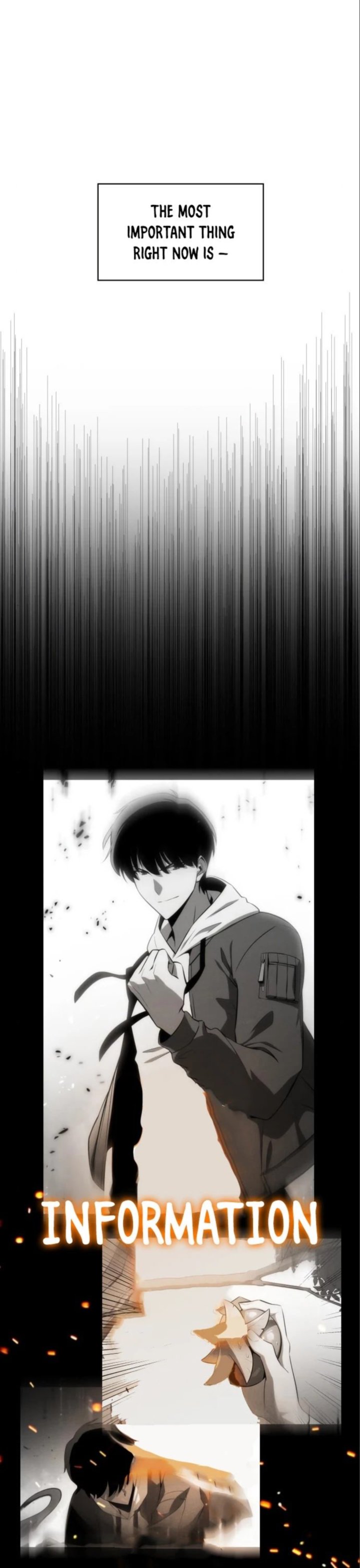 Read Solo Max-Level Newbie Manga Online