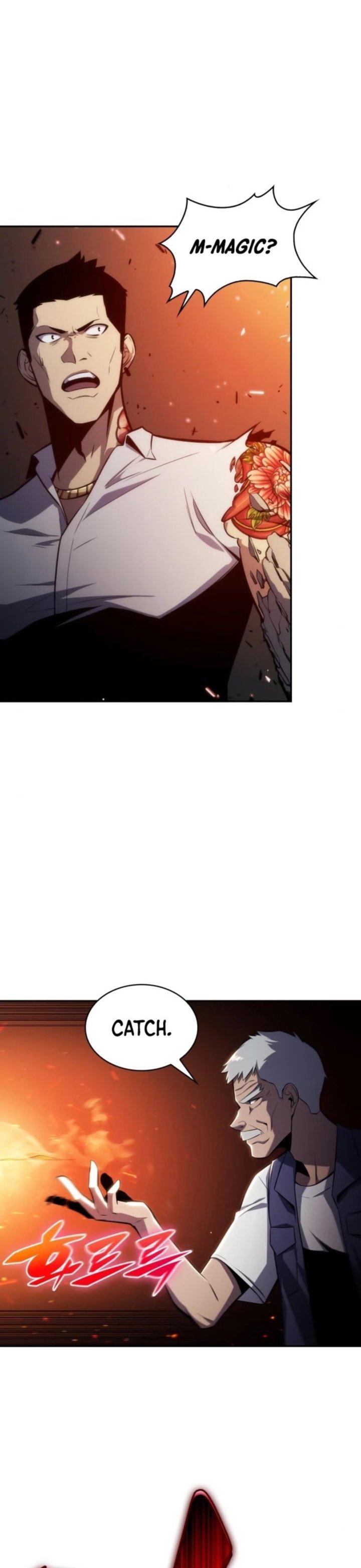 Read Solo Max-Level Newbie Manga Online